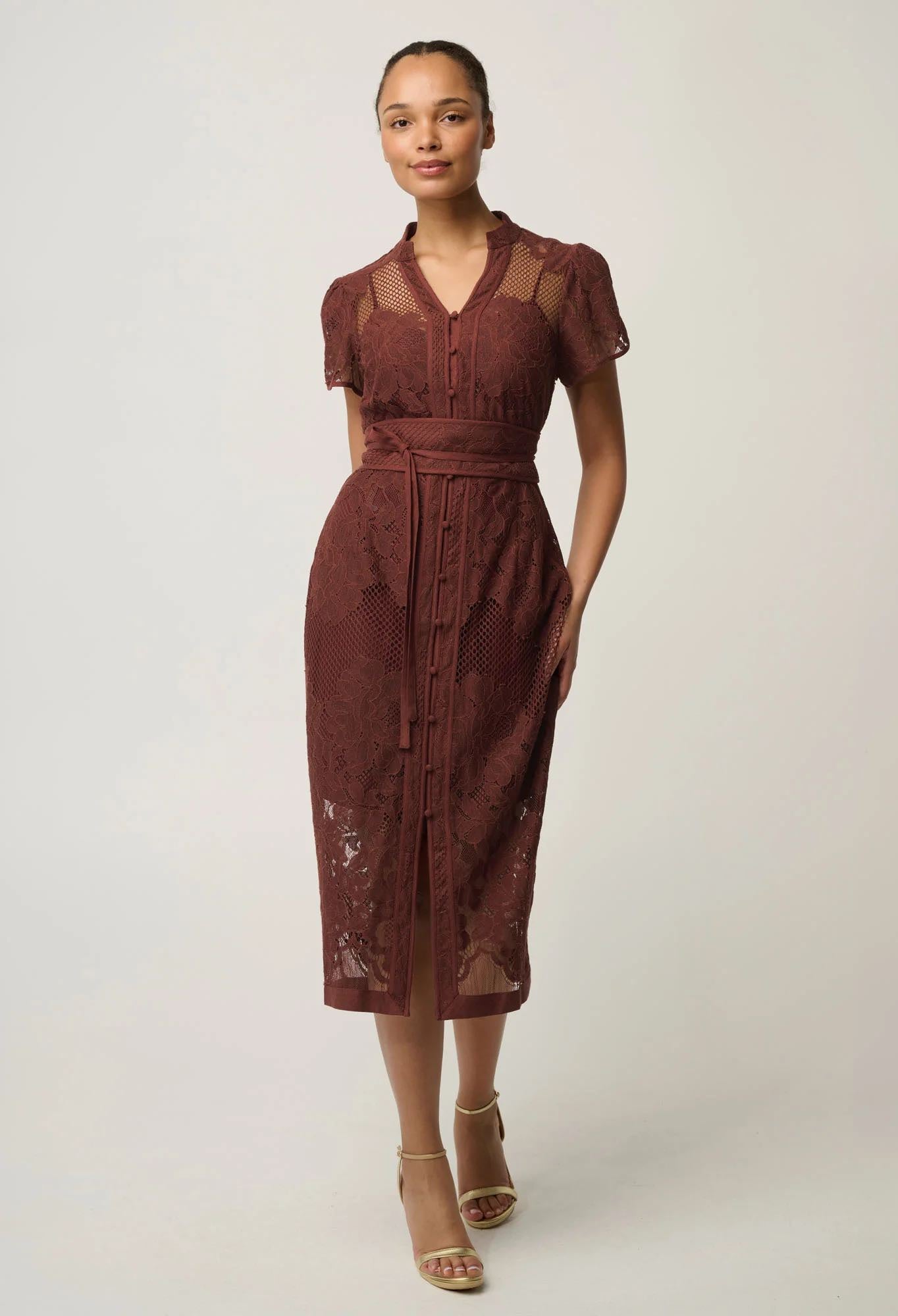 Solene Cotton Blend Lace Dress