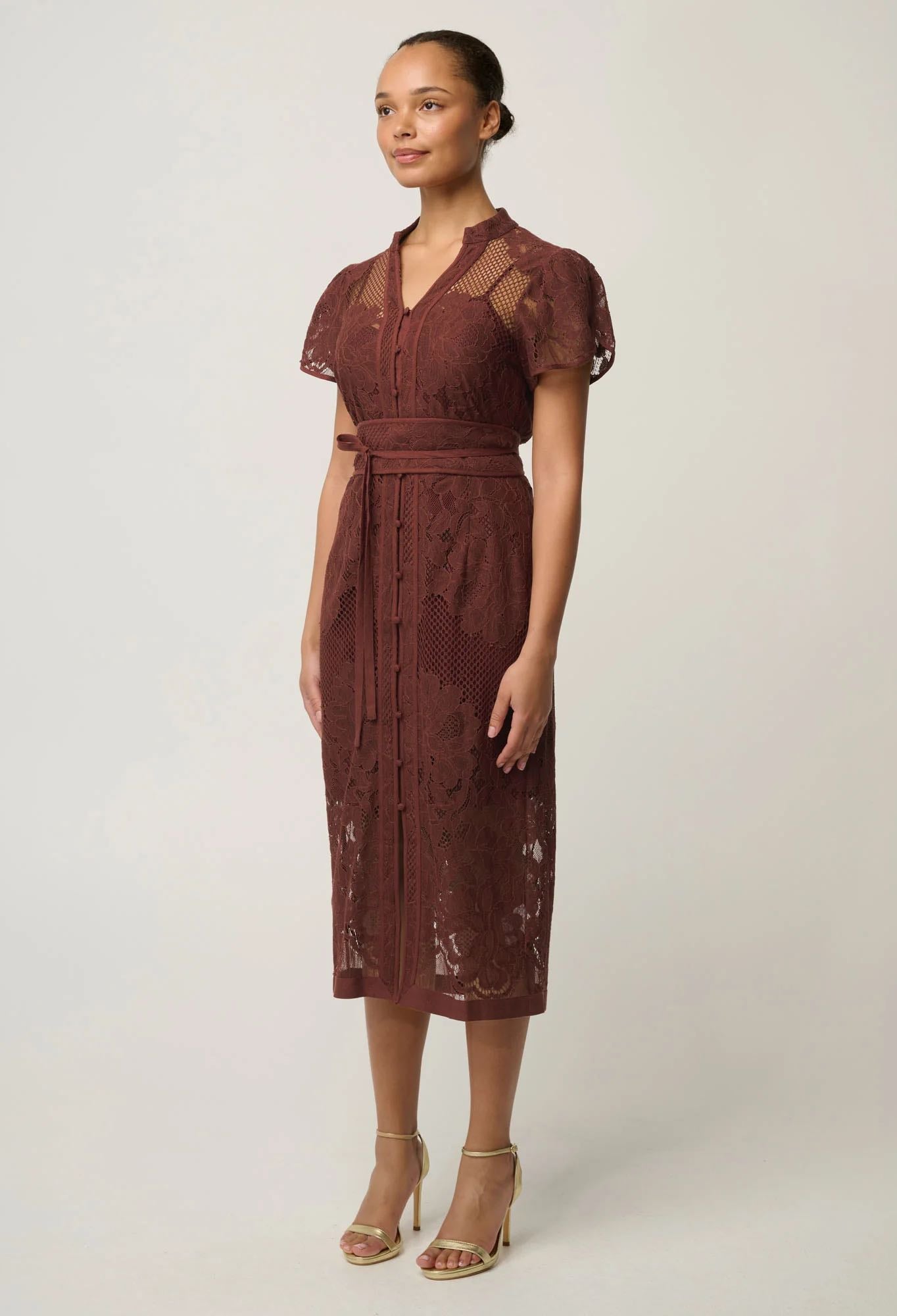Solene Cotton Blend Lace Dress