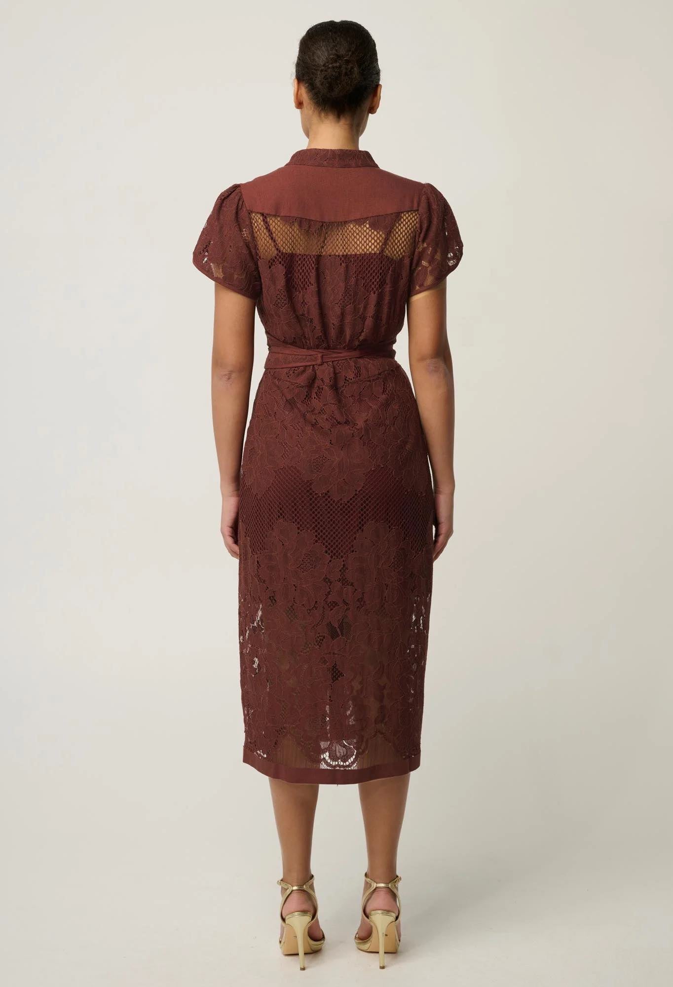 Solene Cotton Blend Lace Dress