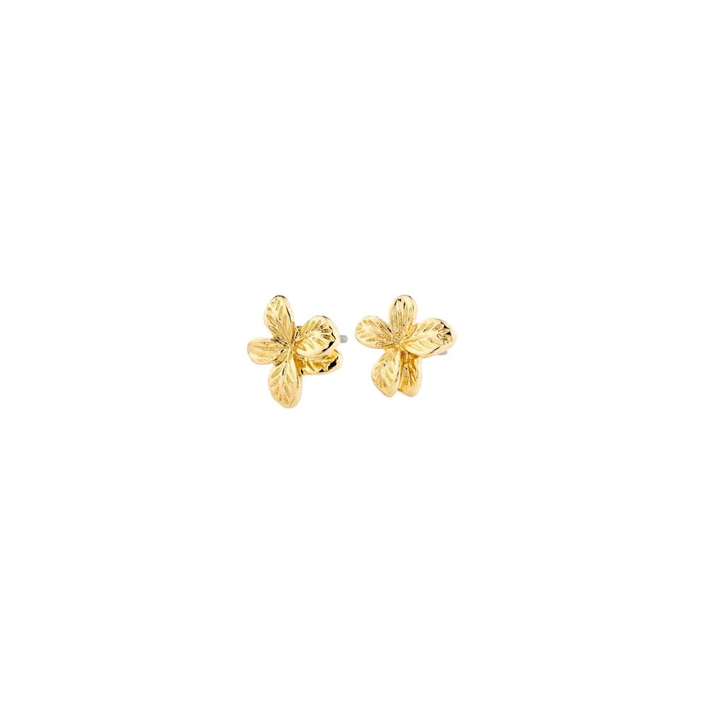 Charmaine Recycled Earrings - Gold Plated