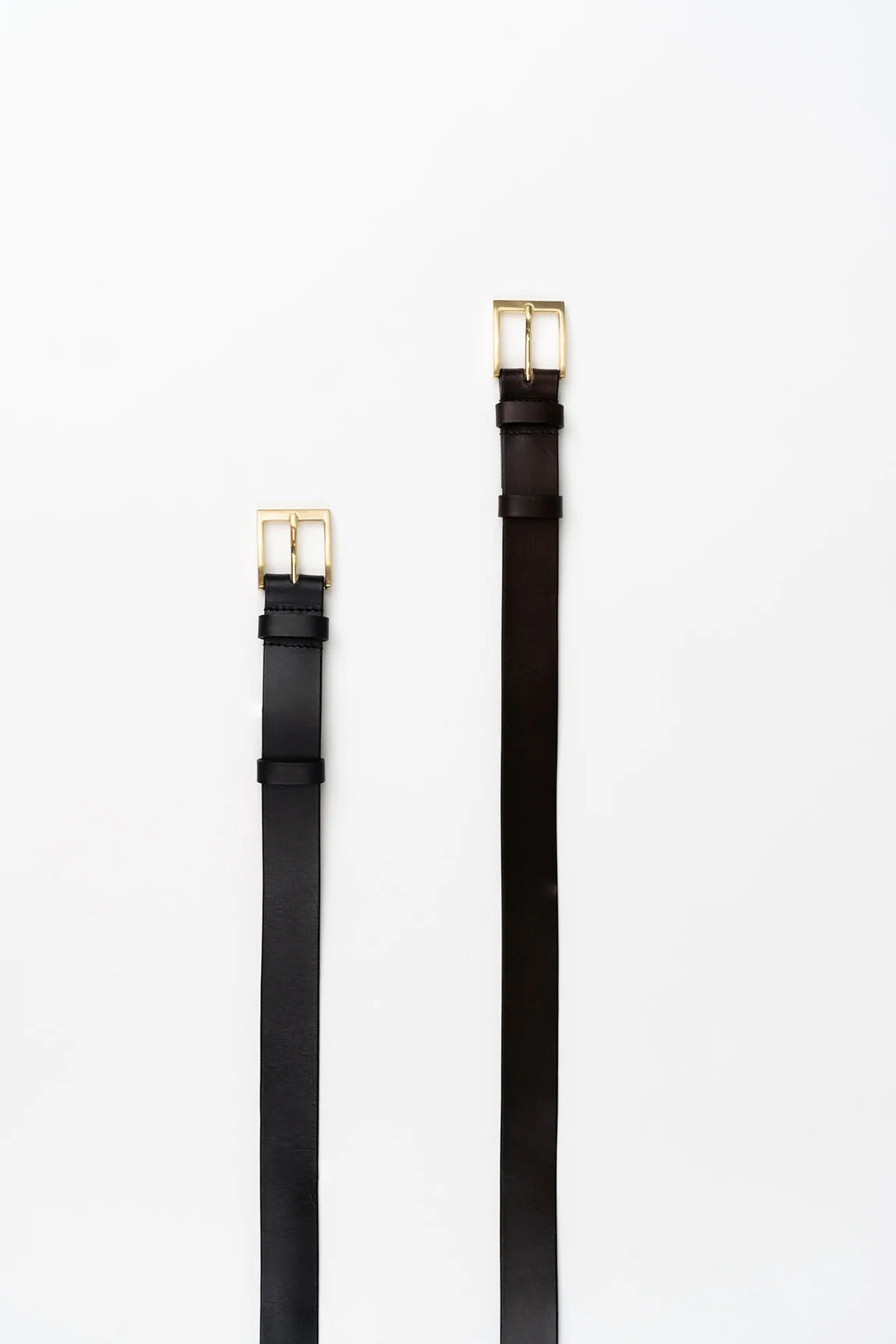 Classic Belt - Cocoa